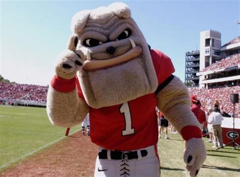 Bang uga mascot